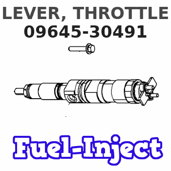 09645-30491 LEVER, THROTTLE 