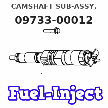 09733-00012 CAMSHAFT SUB-ASSY, 