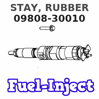 09808-30010 STAY, RUBBER 