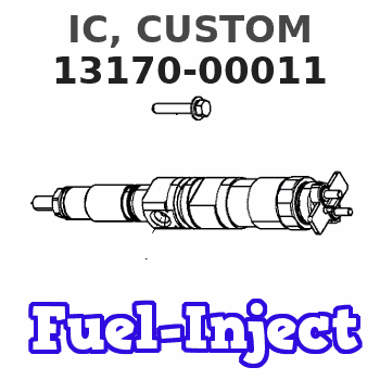 13170-00011 IC, CUSTOM 