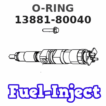 13881-80040 O-RING 