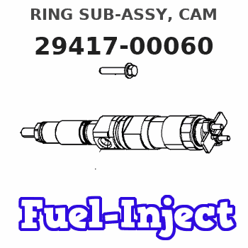 29417-00060 RING SUB-ASSY, CAM 