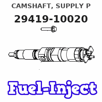 29419-10020 CAMSHAFT, SUPPLY P 