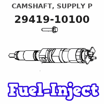 29419-10100 CAMSHAFT, SUPPLY P 