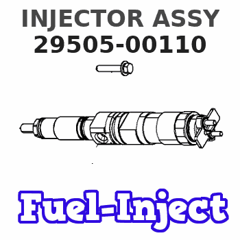 29505-00110 INJECTOR ASSY 