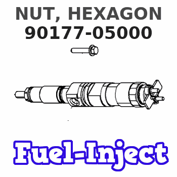 90177-05000 NUT, HEXAGON 