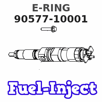 90577-10001 E-RING 