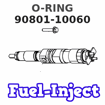 90801-10060 O-RING 