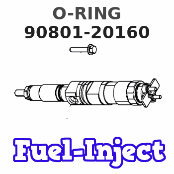 90801-20160 O-RING 