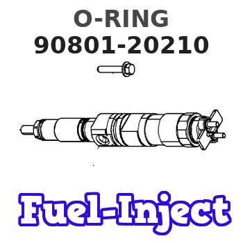 90801-20210 O-RING 