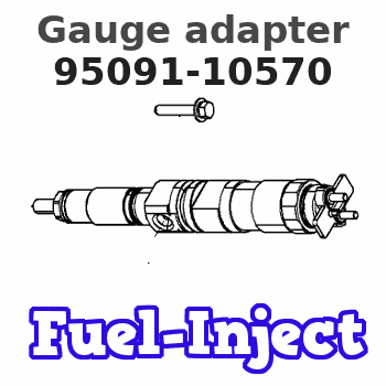 95091-10570 Gauge adapter 