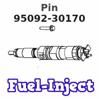 95092-30170 Pin 