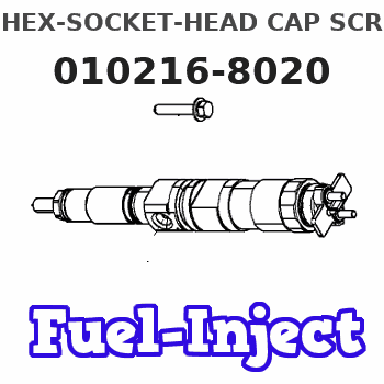 010216-8020 HEX-SOCKET-HEAD CAP SCREW 