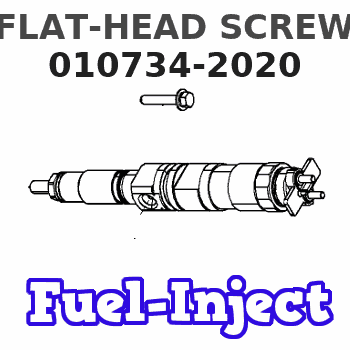 010734-2020 FLAT-HEAD SCREW 
