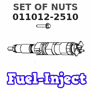 011012-2510 SET OF NUTS 