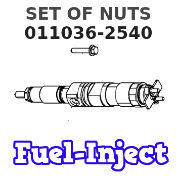 011036-2540 SET OF NUTS 