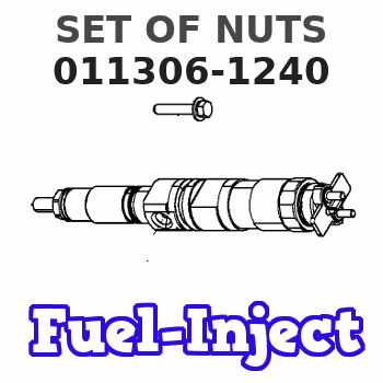 011306-1240 SET OF NUTS 