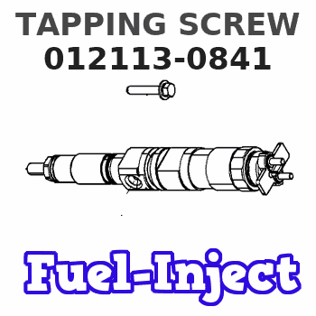 012113-0841 TAPPING SCREW 