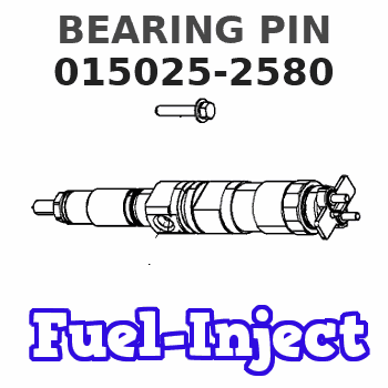 015025-2580 BEARING PIN 