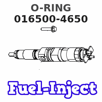 016500-4650 O-RING 