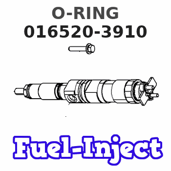 016520-3910 O-RING 