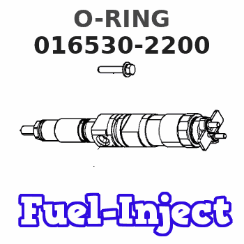 016530-2200 O-RING 