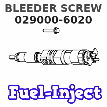 029000-6020 BLEEDER SCREW 