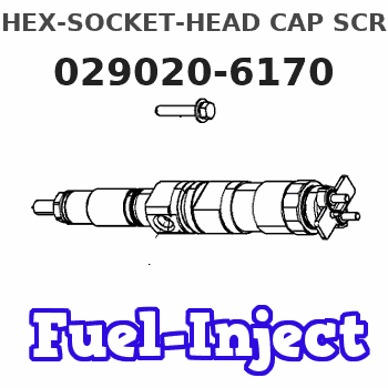029020-6170 HEX-SOCKET-HEAD CAP SCREW 