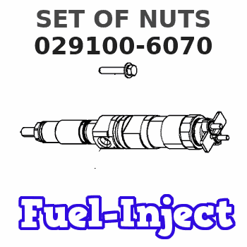 029100-6070 SET OF NUTS 
