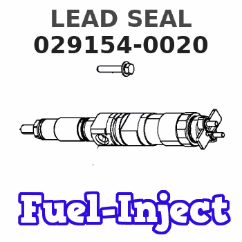 029154-0020 LEAD SEAL 