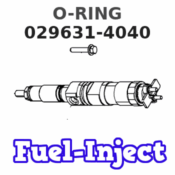 029631-4040 O-RING 