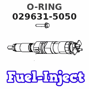 029631-5050 O-RING 