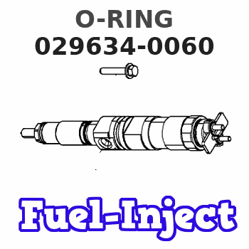 029634-0060 O-RING 