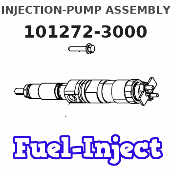 101272-3000 INJECTION-PUMP ASSEMBLY 