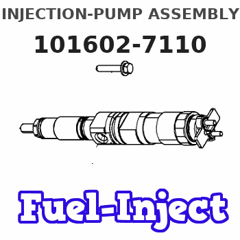 101602-7110 INJECTION-PUMP ASSEMBLY 