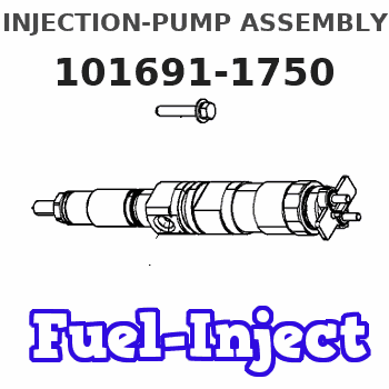 101691-1750 INJECTION-PUMP ASSEMBLY 