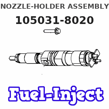 105031-8020 NOZZLE-HOLDER ASSEMBLY 