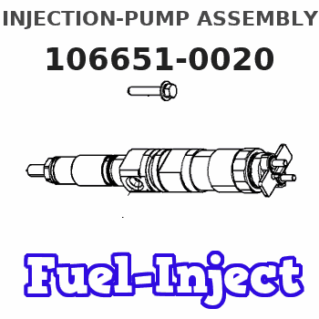 106651-0020 INJECTION-PUMP ASSEMBLY 