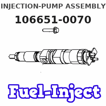 106651-0070 INJECTION-PUMP ASSEMBLY 