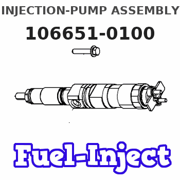 106651-0100 INJECTION-PUMP ASSEMBLY 