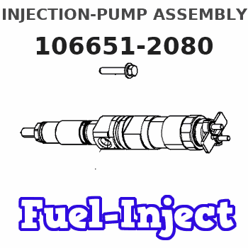 106651-2080 INJECTION-PUMP ASSEMBLY 