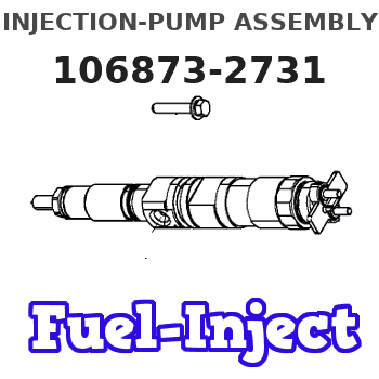 106873-2731 INJECTION-PUMP ASSEMBLY 