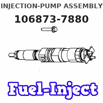 106873-7880 INJECTION-PUMP ASSEMBLY 