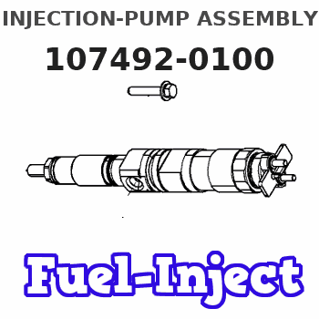 107492-0100 INJECTION-PUMP ASSEMBLY 