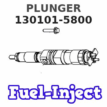 130101-5800 PLUNGER 