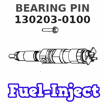 130203-0100 BEARING PIN 