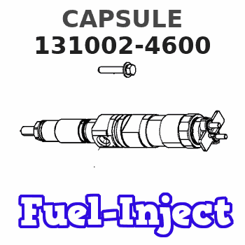 131002-4600 CAPSULE 