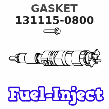 131115-0800 GASKET 