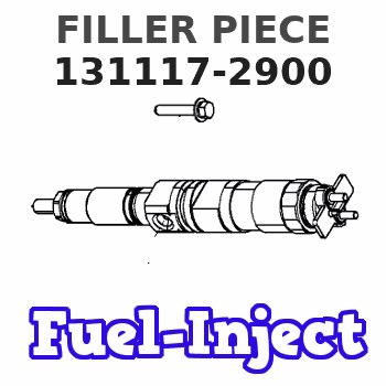 131117-2900 FILLER PIECE 