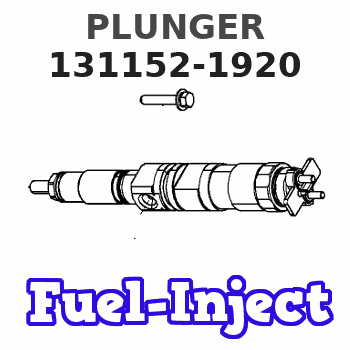 131152-1920 PLUNGER 